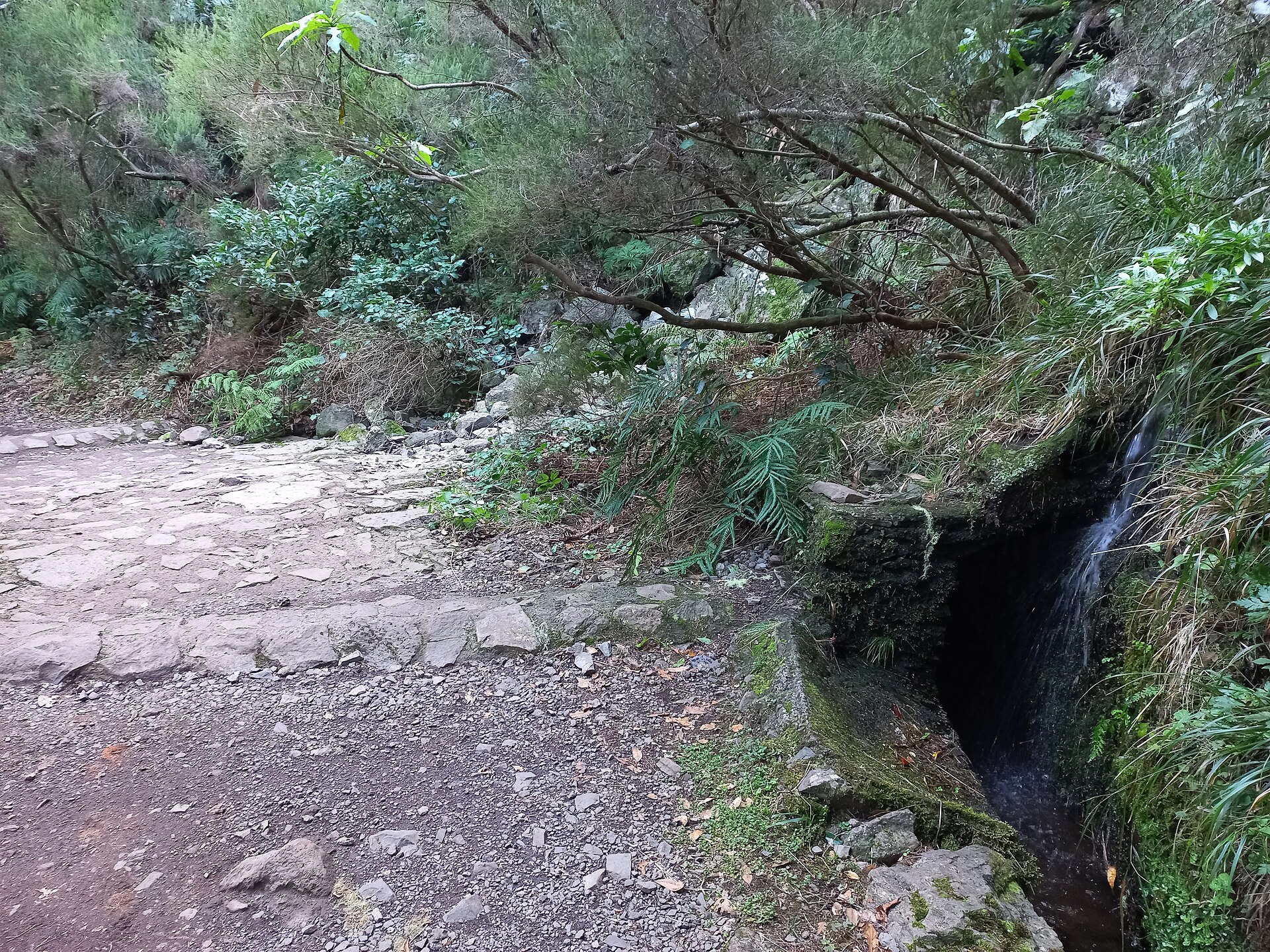 Madeira-Levada do Risco (path PR6.1)-Casa do Rabacal-hiking trail-02ASD.jpg Hiking trail "Levada do Risco" (path no. PR6.1) from Casa do Rabacal (restaurant) to the waterfall in Madeira, Portugal. The passage of the tunnel under the waterfall is not possi