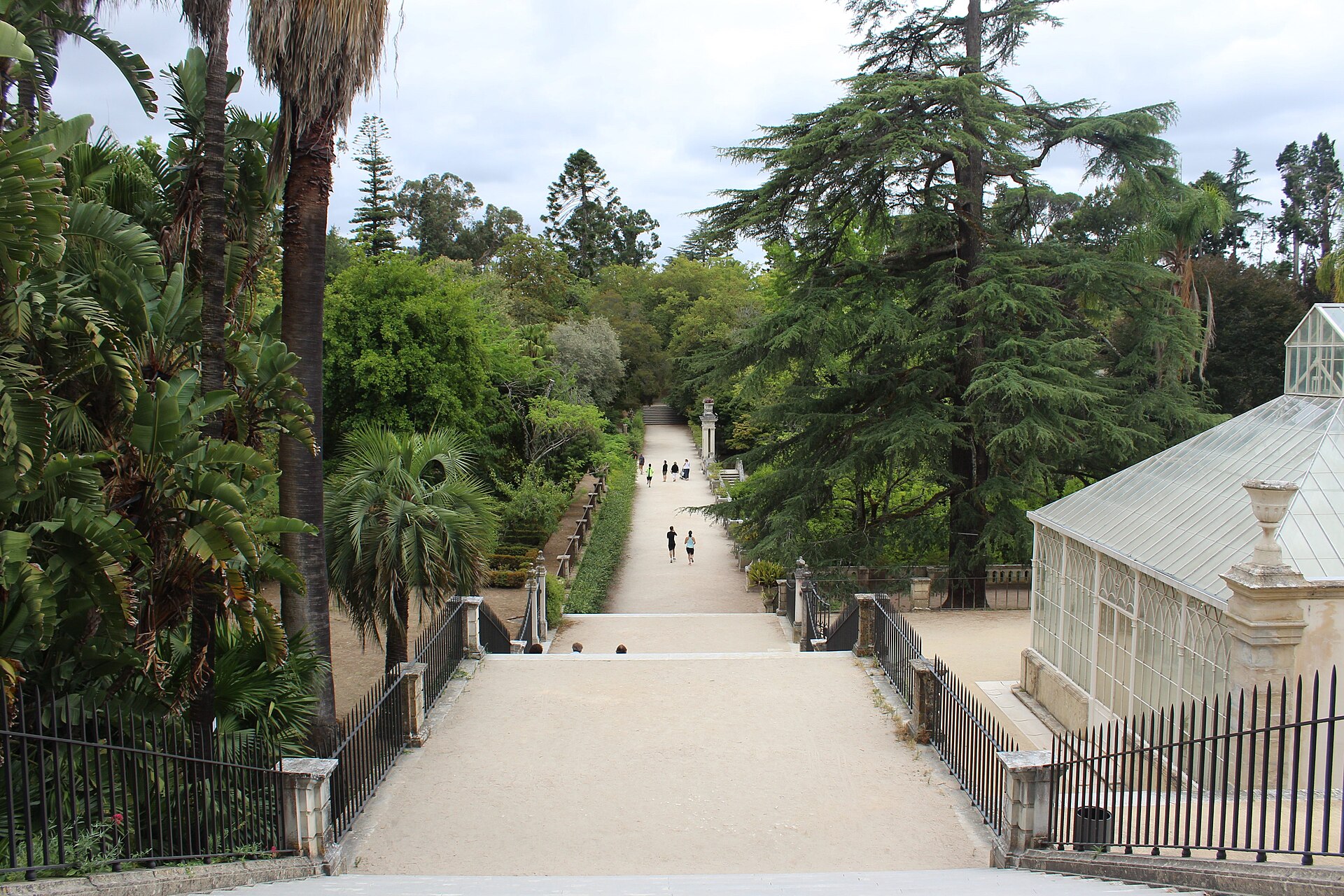 Botanical Garden Coimbra.jpg Jardim Botânico da Universidade de Coimbra