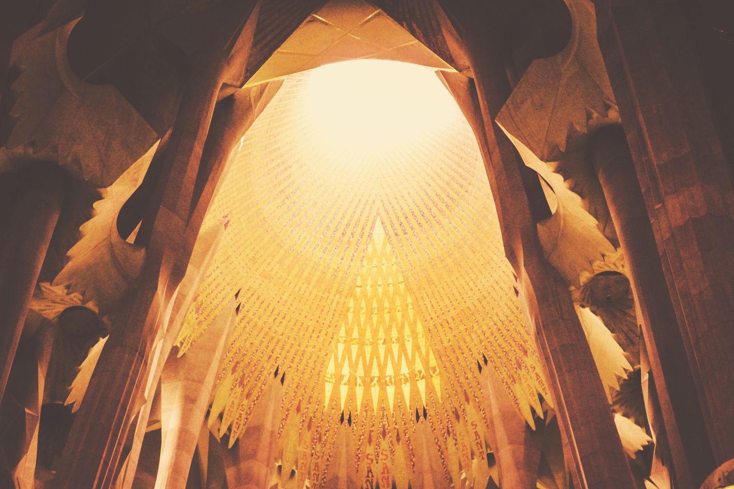 Vista cautivadora del techo de la Sagrada Familia en Barcelona, que muestra su intrincado diseño y arte.