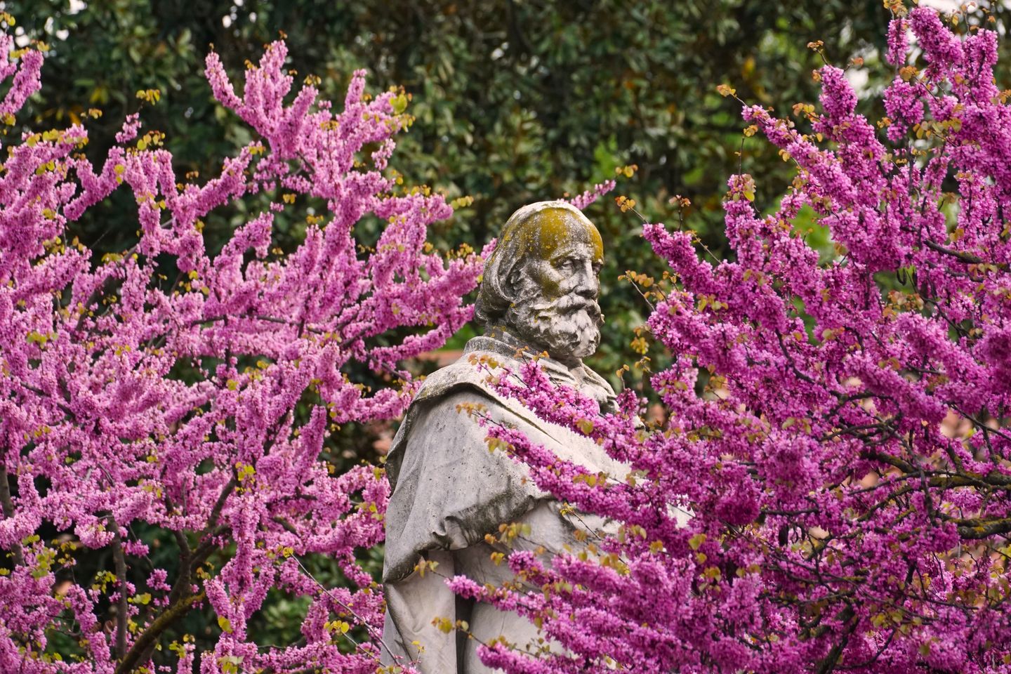 Una estatua rodeada de vibrantes flores de primavera en Padua, Italia, destacando la naturaleza y el arte.