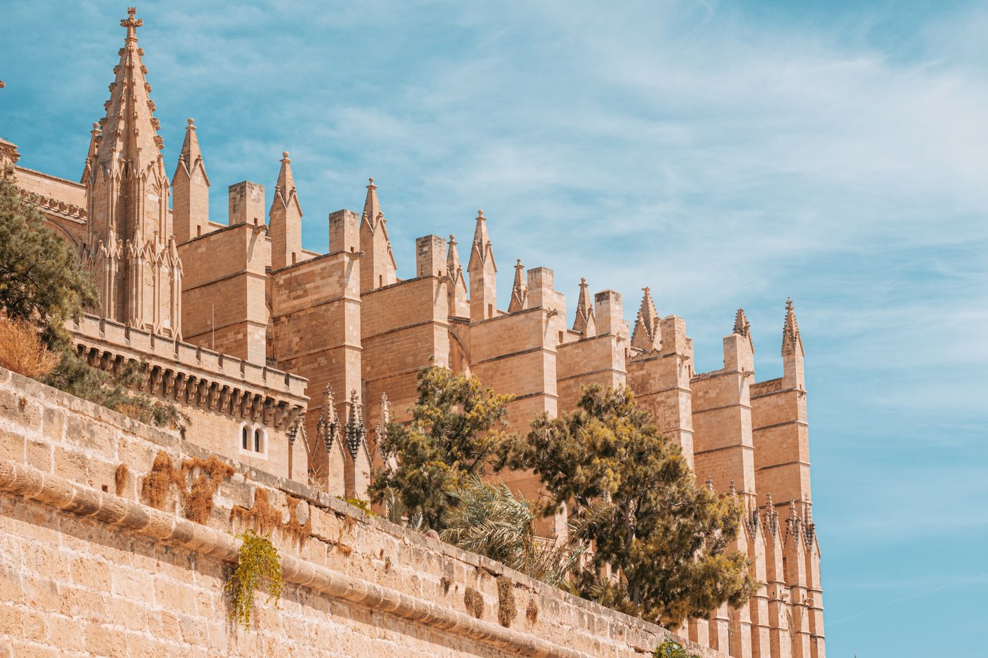 Explora la majestuosa arquitectura gótica de la Catedral de La Seu en Palma, Mallorca.