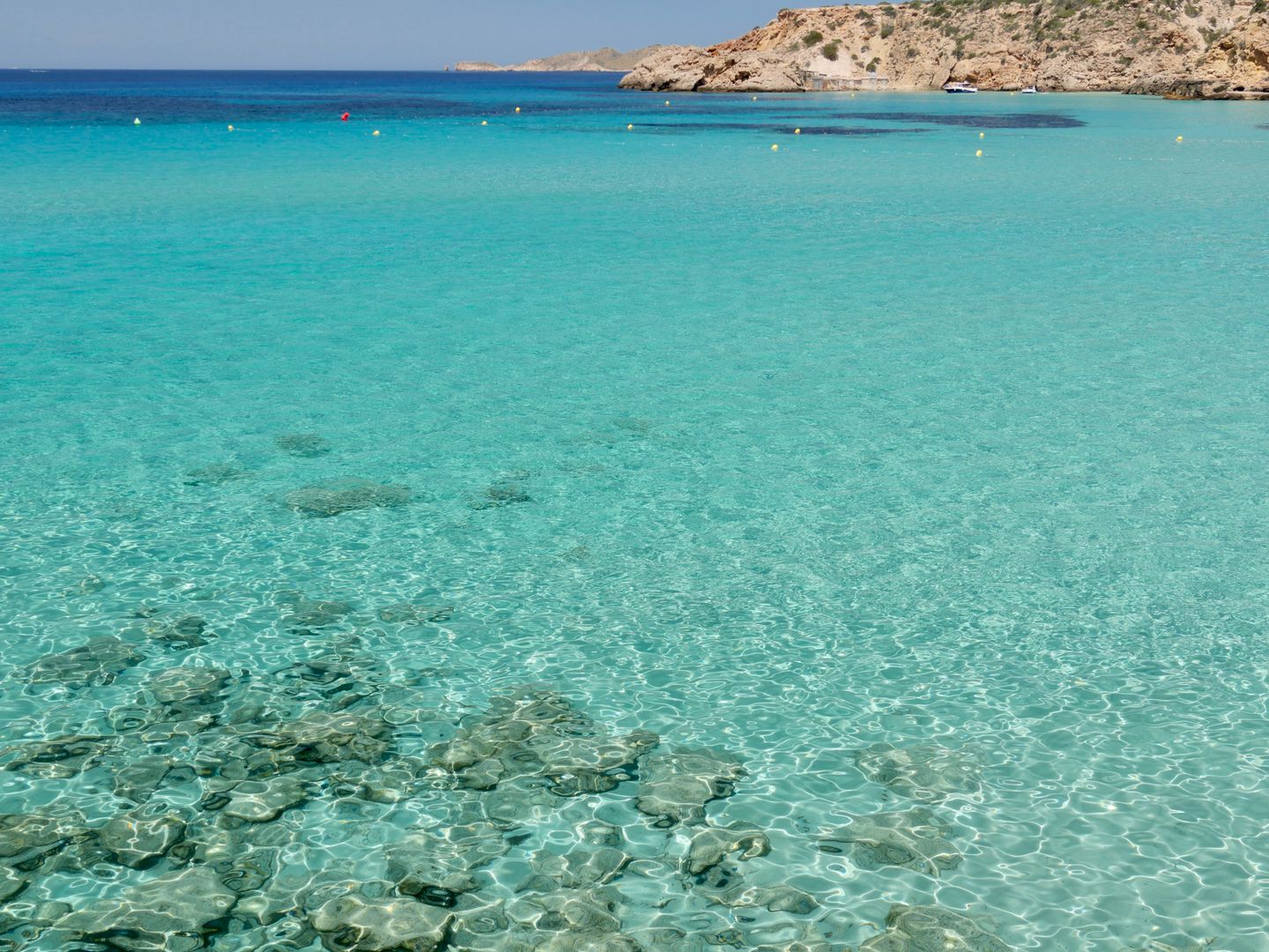 Vista serena de las aguas turquesas de Cala Tarida en Ibiza, perfecta para relajarse.