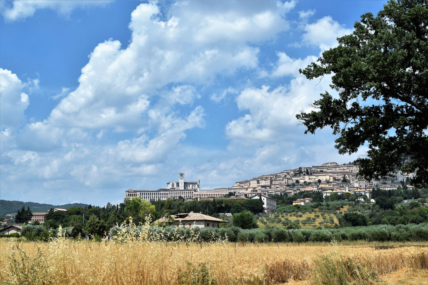 Impresionante paisaje de Asís, Italia, con la Basílica de San Francisco en un día soleado.